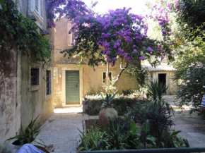 House & Garden by the beach